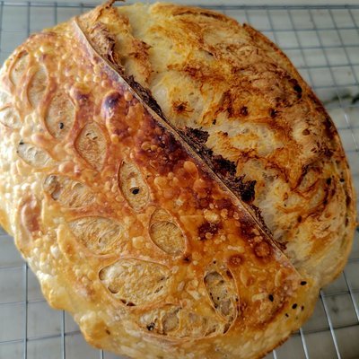 Everything Seasoning Sourdough Loaf