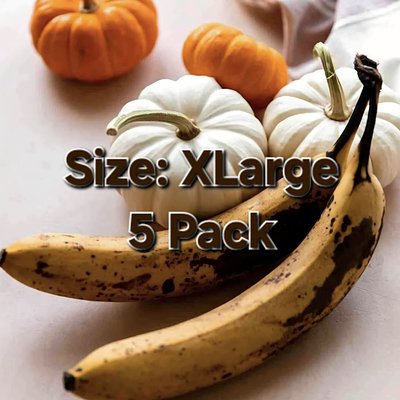 (X-Large 5pk) aPEELing Pumpkin🎃🍌