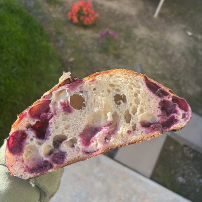 Blueberry Sourdough