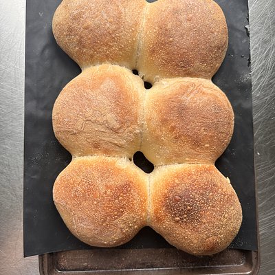 Sourdough Rolls