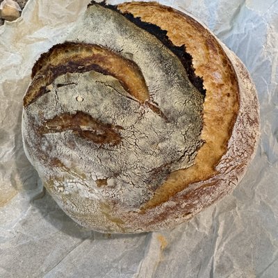 Herb + Roasted Garlic Boule