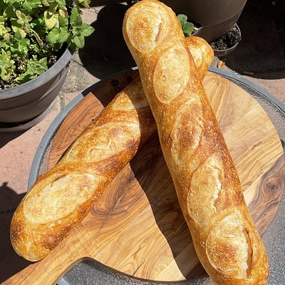 Sourdough Baguette 