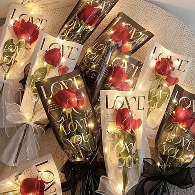 Single Flower 🌹 Rose