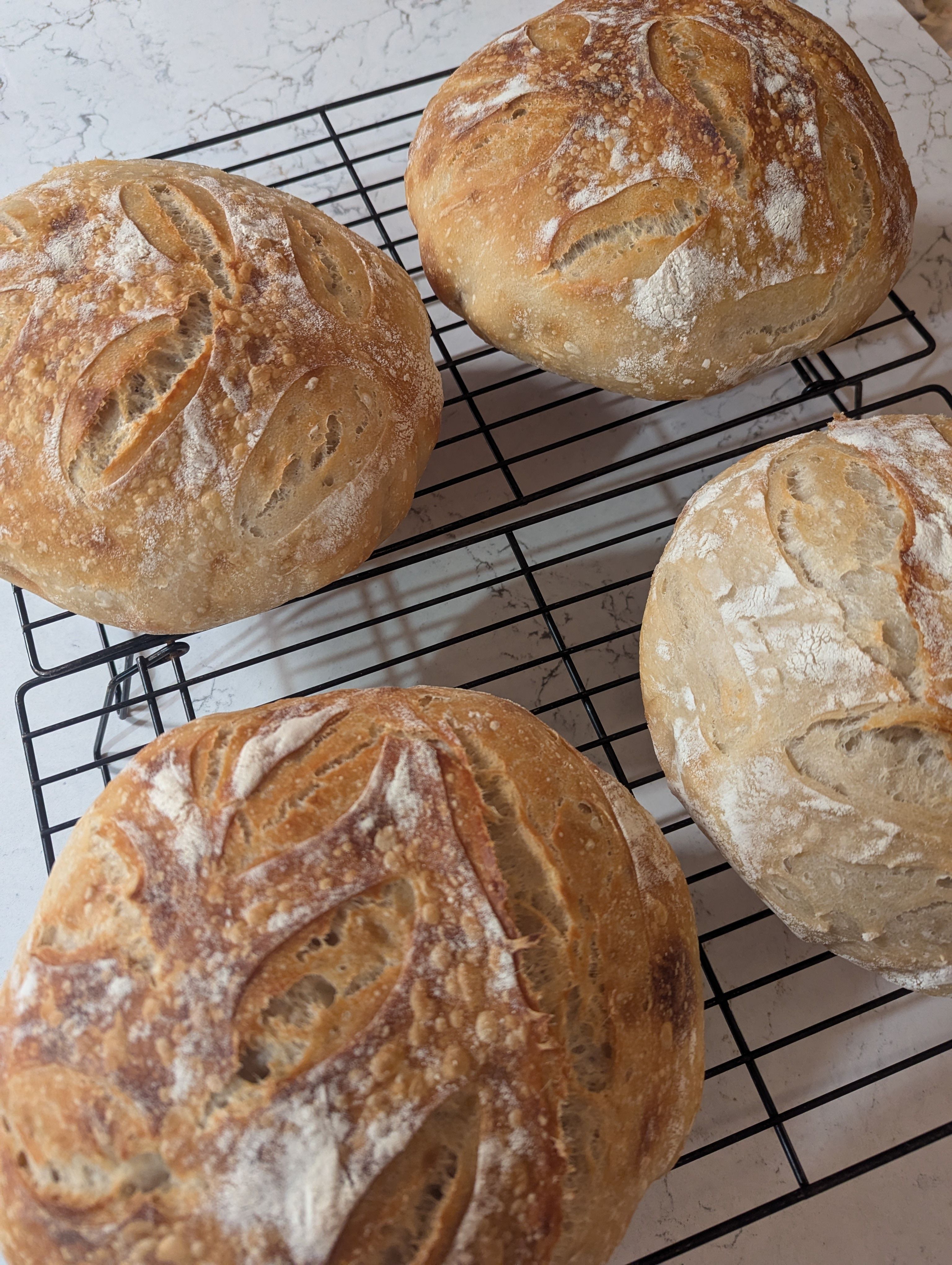 Plain Sourdough Boule 