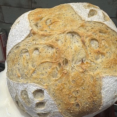🍋Lemon Poppyseed Sourdough Bread