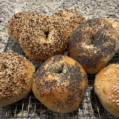 Sourdough Bagels - Dozen