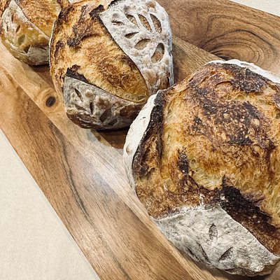 3 Mini Sourdough bread Bowls 