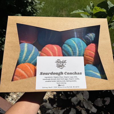 Sourdough Conchas 