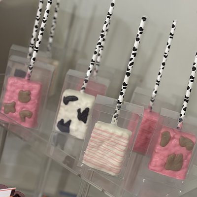 Mini - 3 Dozen Treats