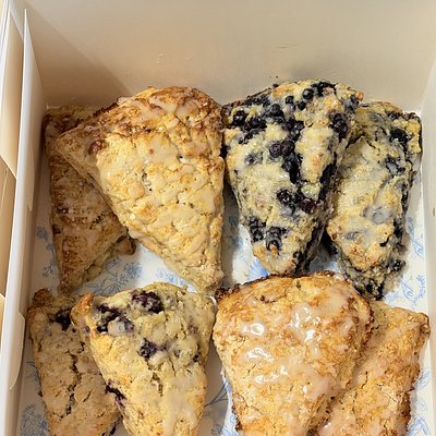 Tea Time Treat Box  (Box of 8 Scones) 4 Flavors