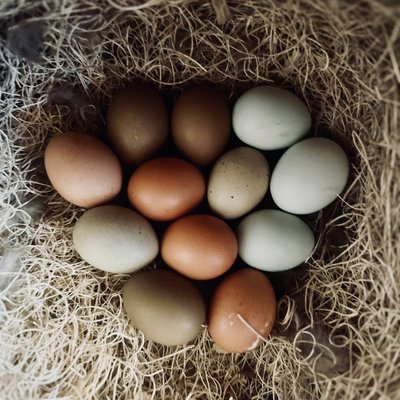 Eggs
