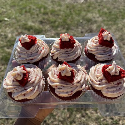 Half Dozen Cupcakes 