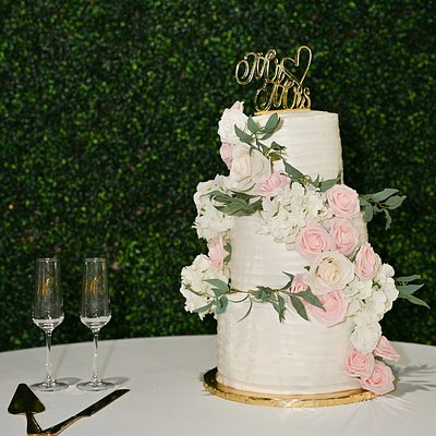 Wedding Cake Tasting/Consultation 