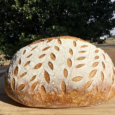 Classic Sourdough