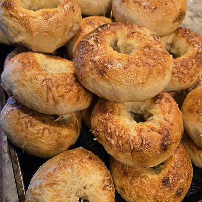 Bagels- 5 Pack