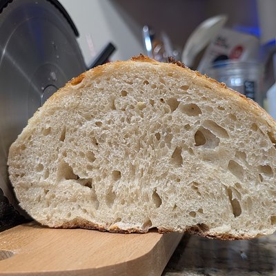 Plain Sourdough Loaf