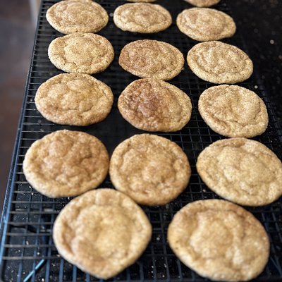 Sourdough Organic Pumpkin Snickerdoodle (6 Pack)