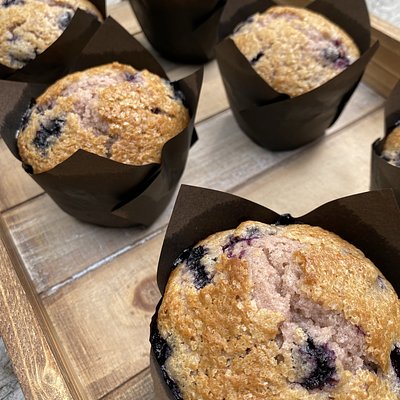 Blueberry Muffin
