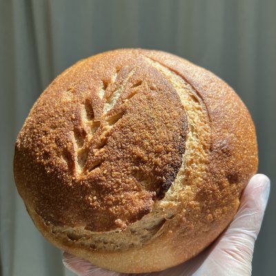 (Gluten free) Sourdough loaf 