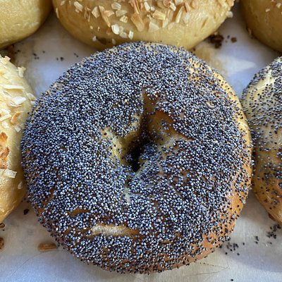 1 Organic Sourdough Poppy Bagel
