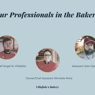 Our Professional Team