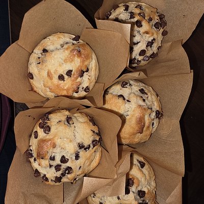 Chocolate Chip Muffin 1/2 Dz
