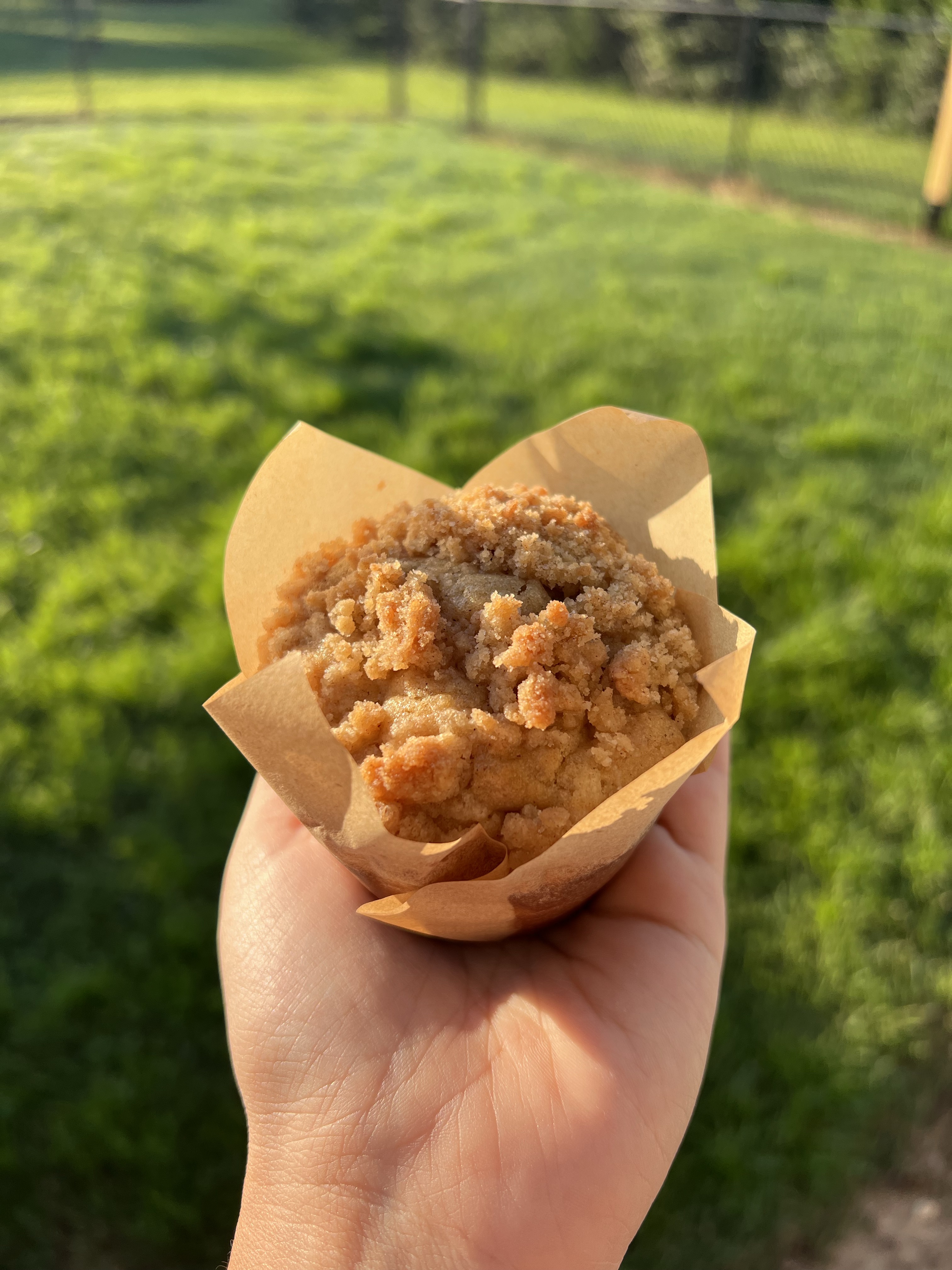 Apple Crumble Muffins 