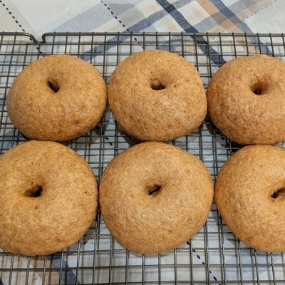 Plain Bagels (6) 🌿