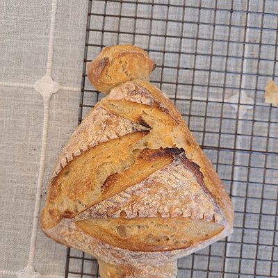 Christmas Sourdough 