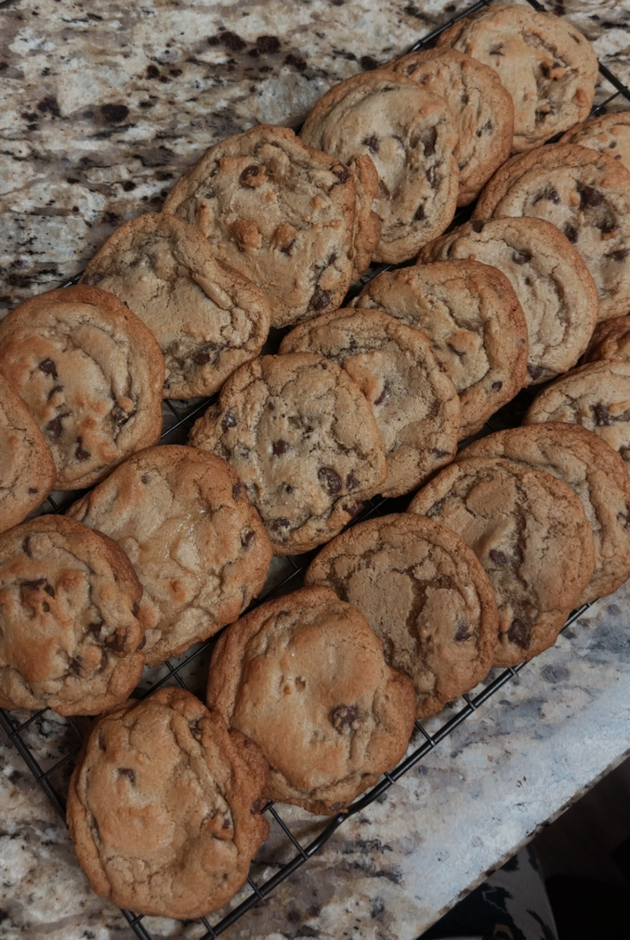 Chocolate Chip Cookies 