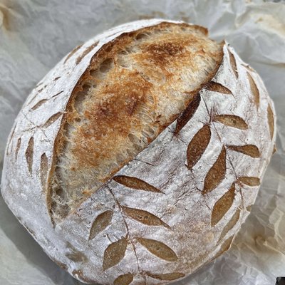 Plain Loaf