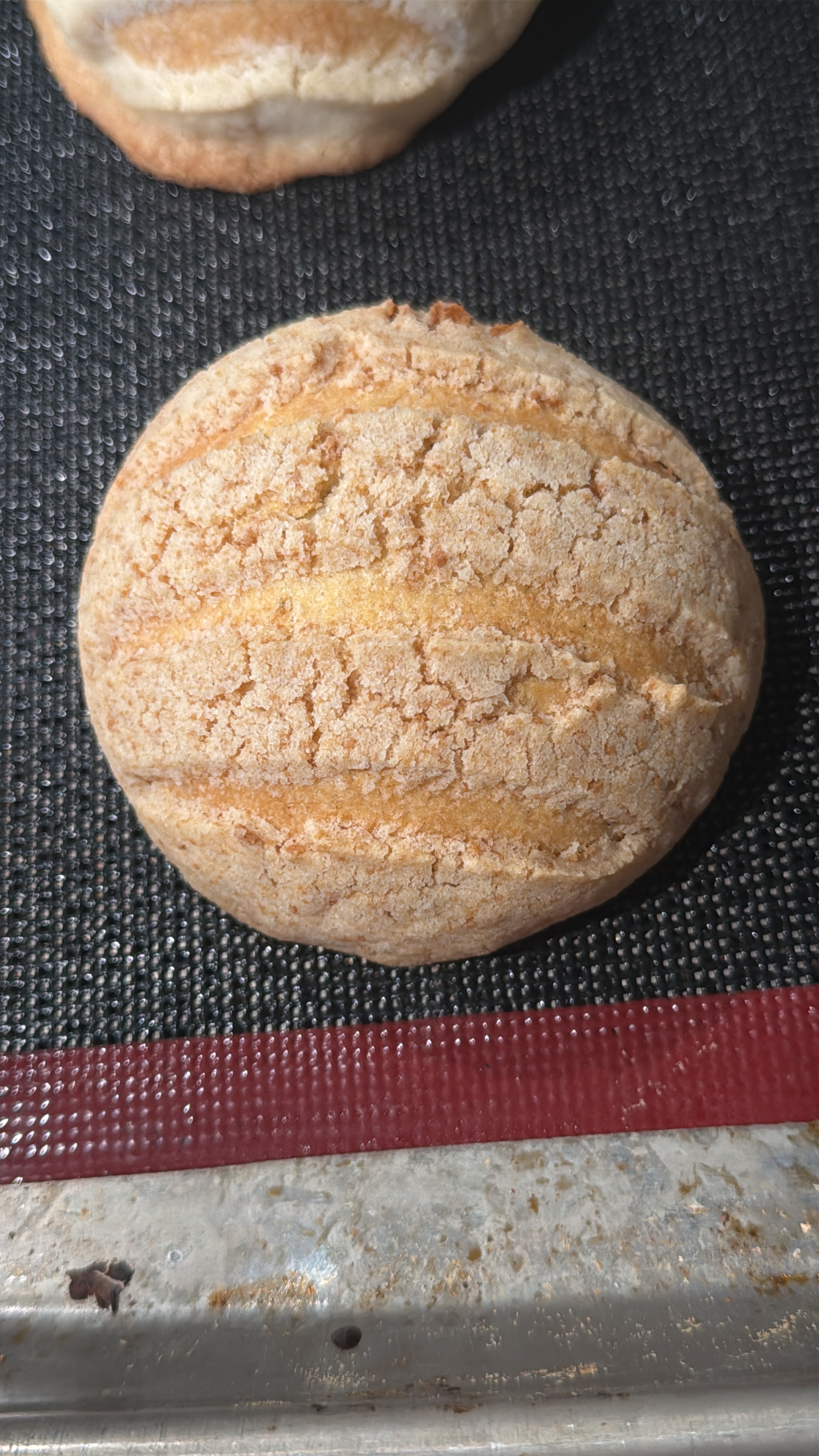 Conchas