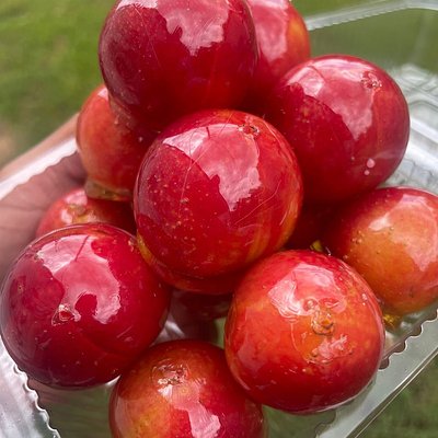 candied cherry plums