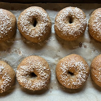 GF Salt Bagels