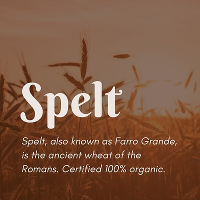 Organic Spelt Berries (50 lb)