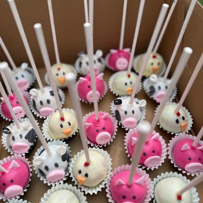 Custom Cake Pops 