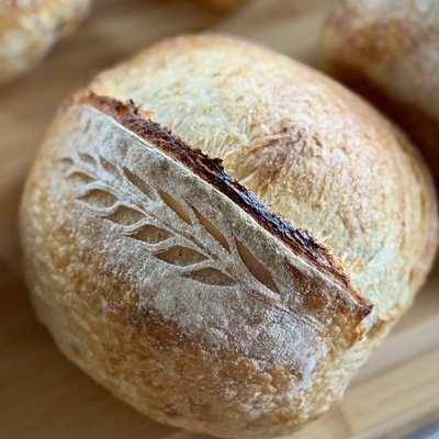 Organic Basic Country Loaf