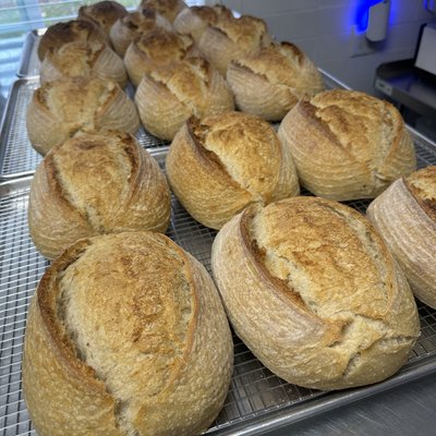 Sourdough 101 Saturday January 24th @ 4pm