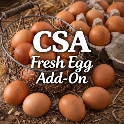 CSA Fresh Egg ADD-On May 22-Oct30