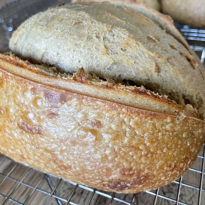 Peanut Butter & Honey Sourdough