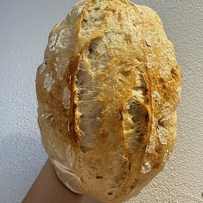 Roasted Garlic & Rosemary 