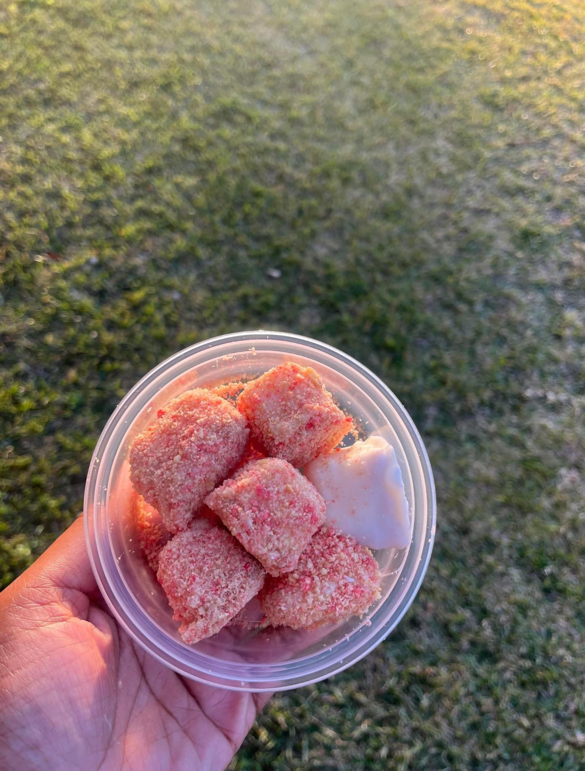 Cheesecake Bites