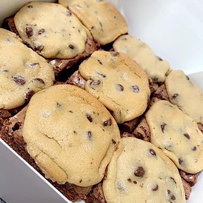 Regular Brookies(6)