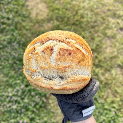 Artisan Sourdough Boule 