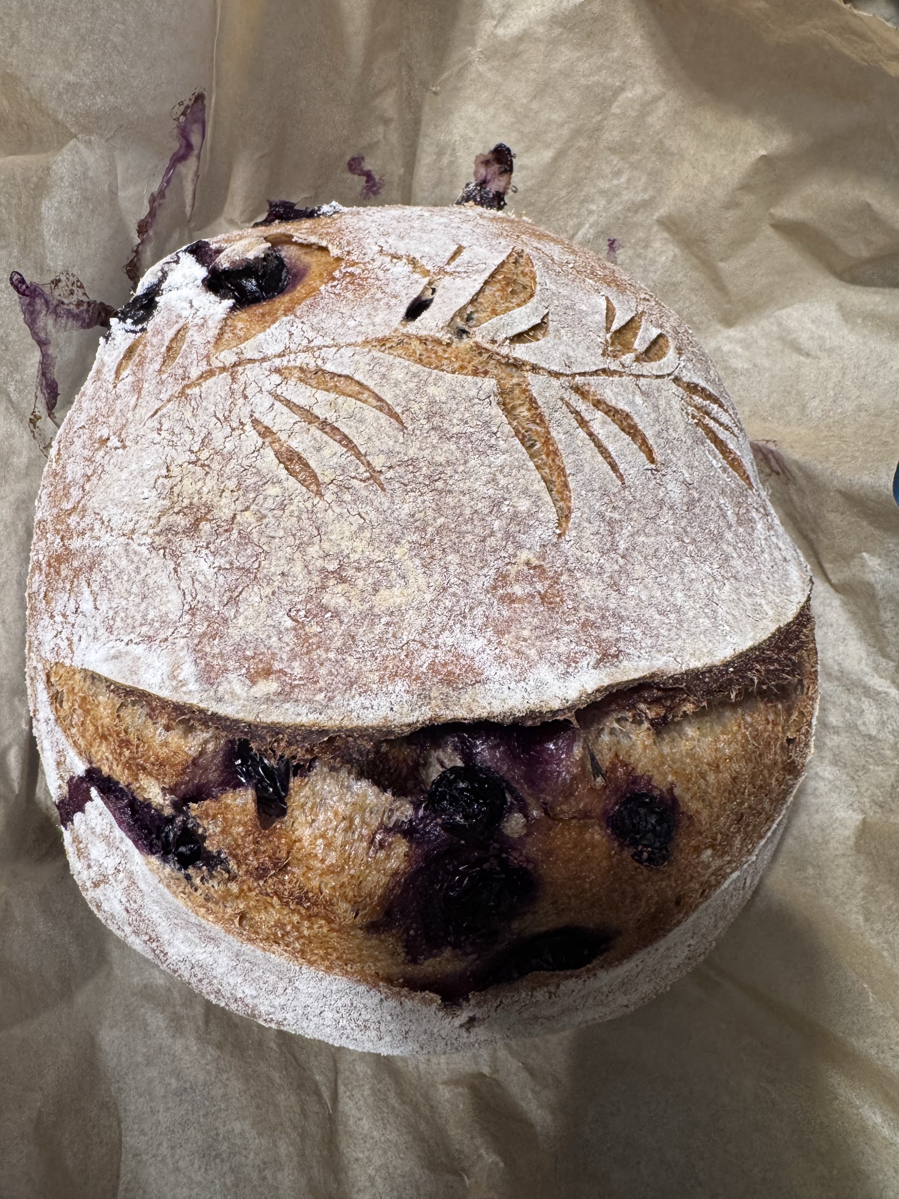 Blueberry Lemon Sourdough 