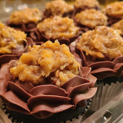 Gourmet German Chocolate Cupcakes- Jumbo Size