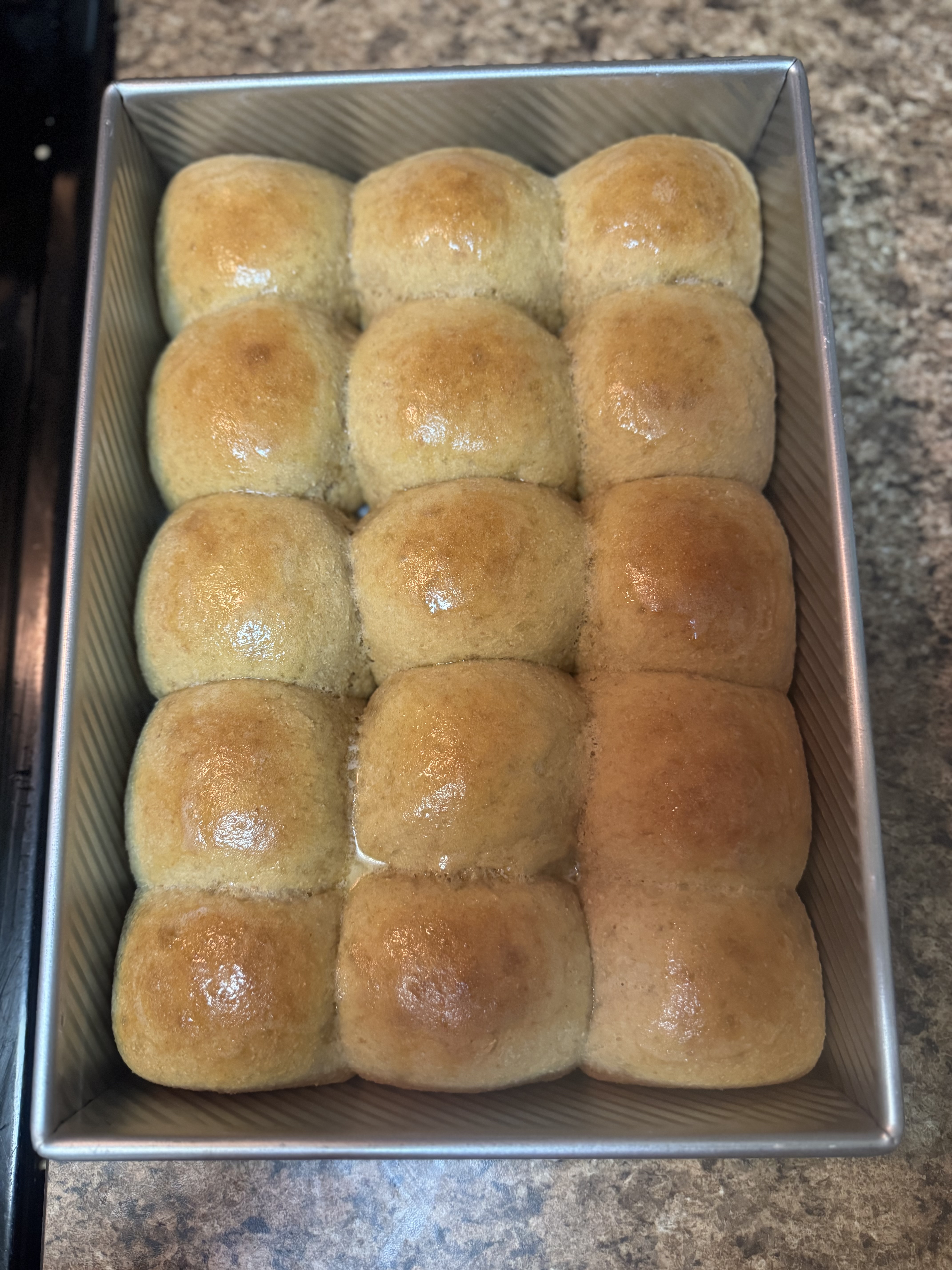 Dinner Rolls 