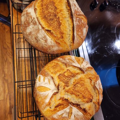 Plain Sourdough Loaf