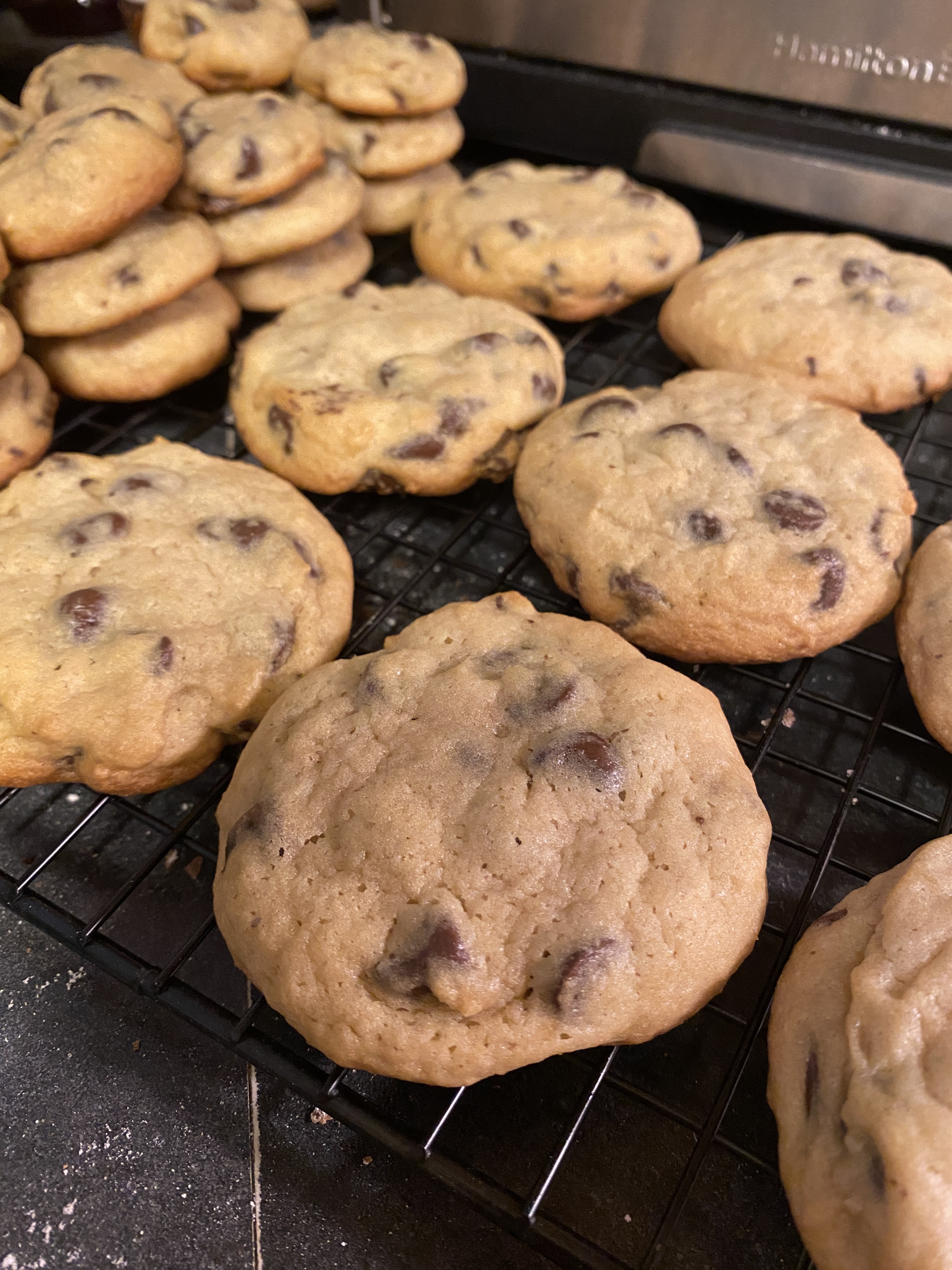 Chocolate Chip