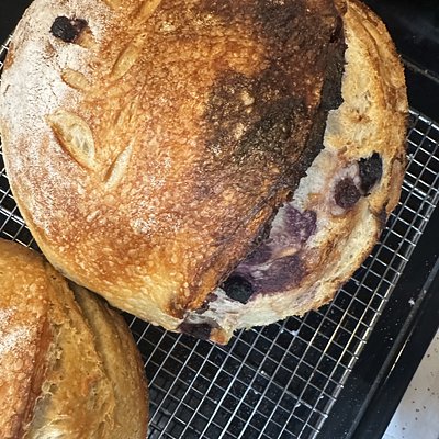 Lemon Blueberry Sourdough